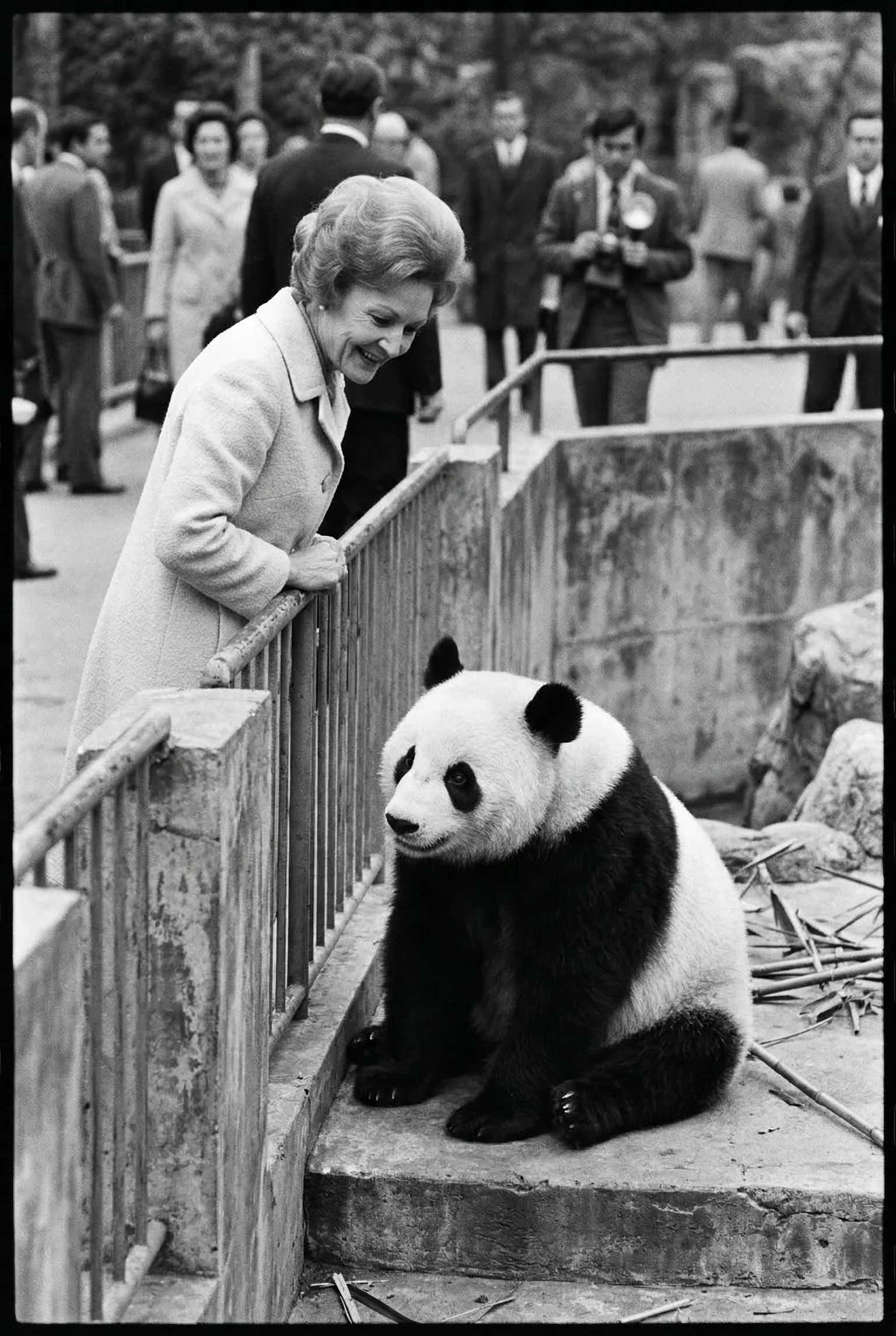 A casual compliment at a zoo enclosure that somehow altered the trajectory of U.S.–China relations.